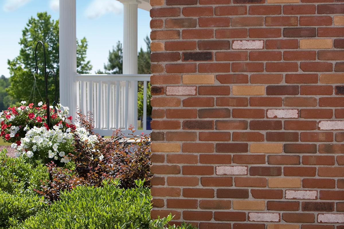 Tumbled Thin Brick (Various Options)