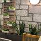Rough Ashlar Thin Stone