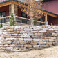 Tuscarora Thin Stone