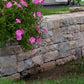 South Bay Quartzite