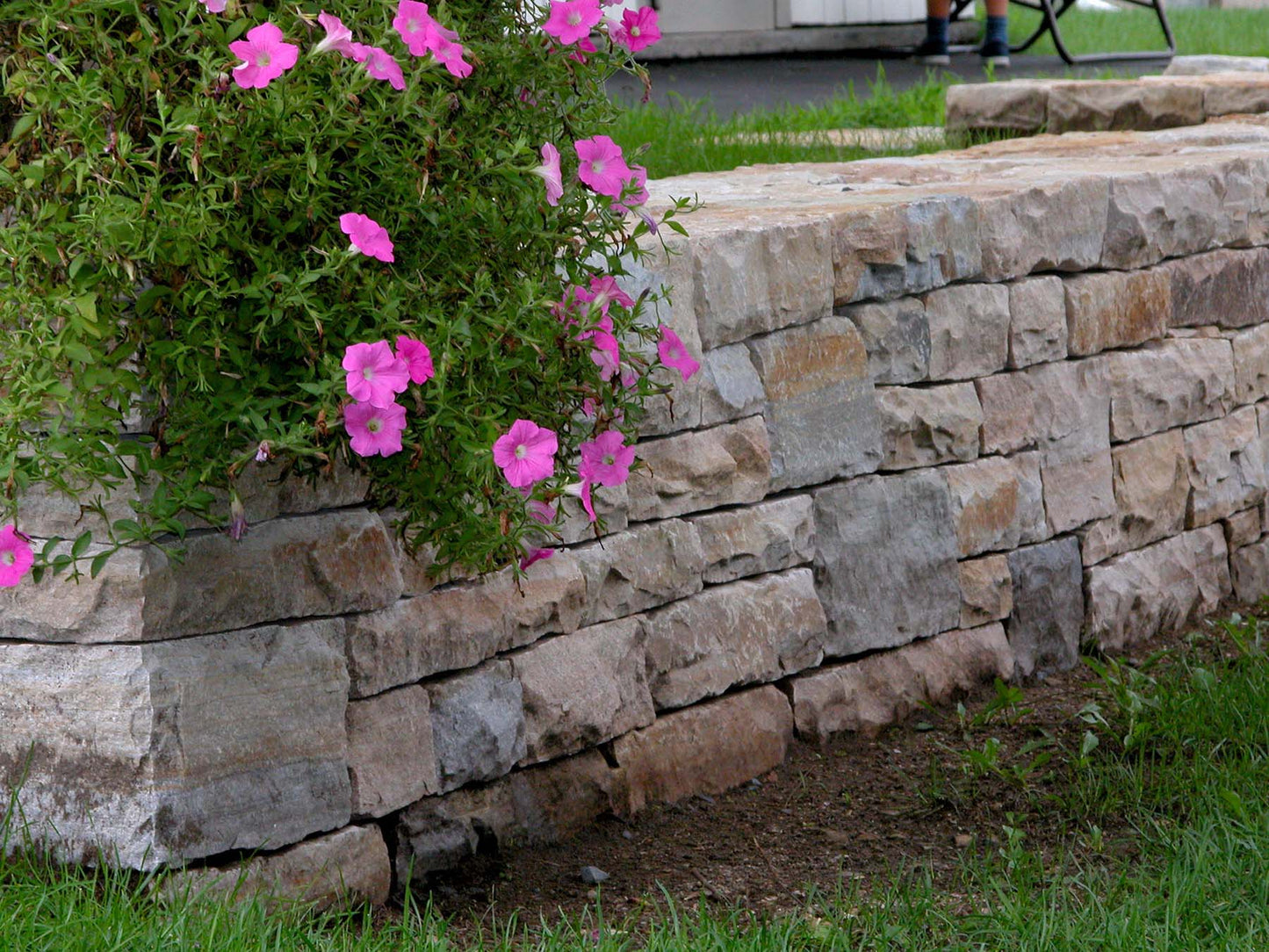 South Bay Quartzite