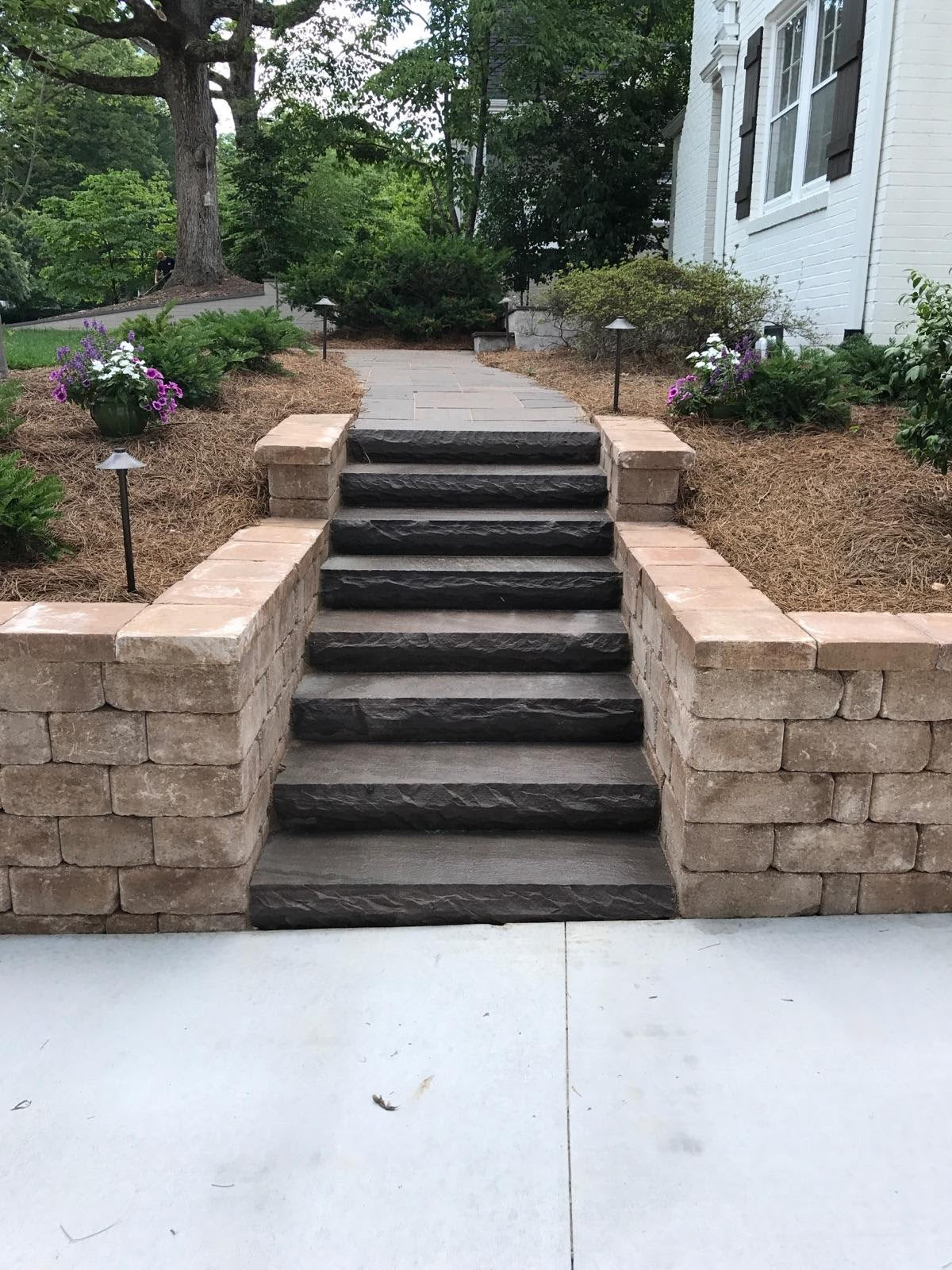 Landscape Steps