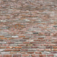 Antique Philly Red Thin Brick